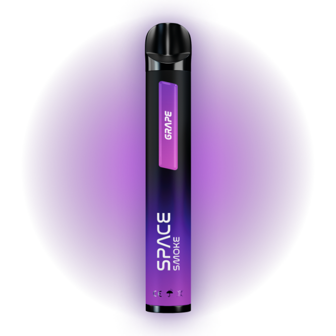 SPACE STICK GRAPE / 5000 PUFFS