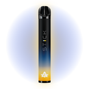 SPACE STICK ICE FRUITS / 3000 PUFFS